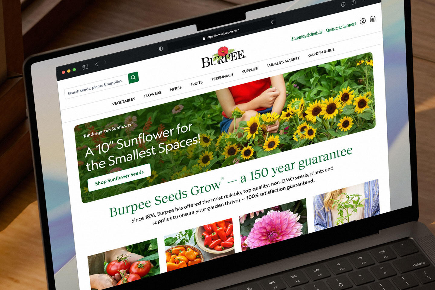 Burpee Site 2024-2026 Burpee.com